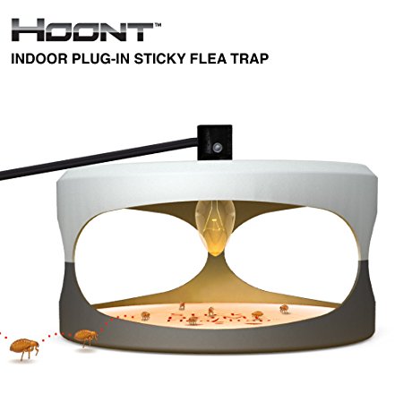 Hoont Indoor Plug-in Sticky Flea Trap with Light and Heat Attracter (Includes 5-Adhesive Glue-Boards) / Get Rid of All Fleas, Bed Bugs, Flies, Etc. - For Residential and Commercial Use
