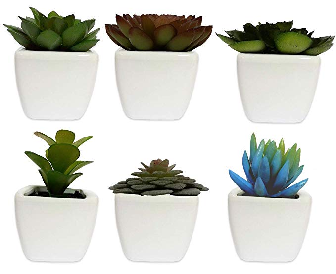 Lodhi's Artificial Succulent Assorted Decorative Faux Succulent Fake Plants with White Ceramic Pots -Pack of 6