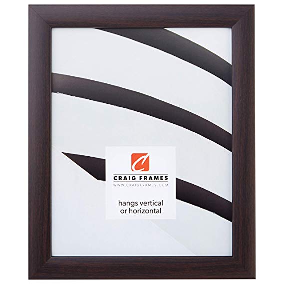 Craig Frames 23247778 4 by 6-Inch Picture Frame, Smooth Wrap Finish, 1-Inch Wide, Brazilian Walnut Brown