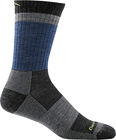 Darn Tough Heady Stripe Micro Crew Light Cushion Sock - Men's