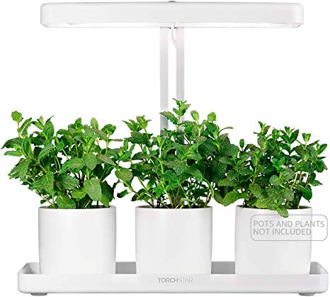 TORCHSTAR Indoor Garden Kit, Herb & Kitchen Garden Grow Light, Auto-Timer Function, Height Adjustable CRI 95 Real Color for Plant Enthusiasts, Rosemary, Lavender, Seed, Pod Ornamental DIY Gift