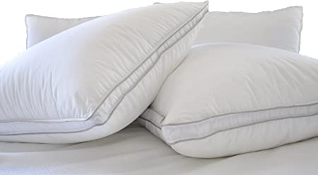 Natural Comfort Allergy Shields Pillows, Set of 2, Medium-Firm-Filled, King