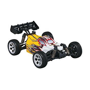 Dromida 1:18 Scale RTR Remote Control RC Car: Electric 4WD BX Buggy with 2.4GHz Radio, 7.2V 6C 1300mAh NiMH Rechargeable Battery, 4 x AA Batteries and Charger