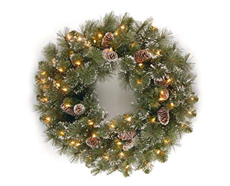 National Tree 24 Inch Glittery Pine Wreath with Cones, Snowflakes and 50 Clear Lights (GP1-300-24W)