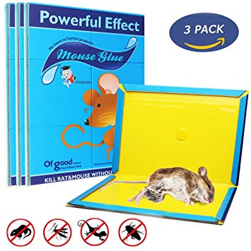 Mouse Glue Trap, Rat Glue Traps, Strongly Adhesive & Extra Large, Best Peanut Butter Scented Mouse Traps Glue Board for Mice & Rodent &Pests & Bug & Ant & Spider - 3 Pack