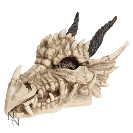 FABULOUS GOTHIC DRAGONS SKULL TRINKET BOX FIGURE ORNAMENT    BRAND NEW AND BOXED