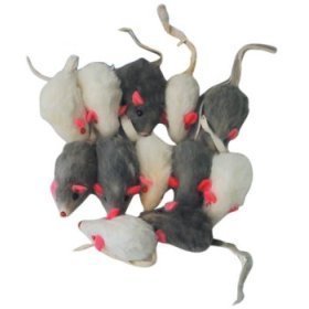 Zanies Realistic Mice Cat Toys - Hours of Fun - Set of 6