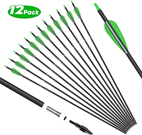 Archery Carbon Hunting Arrows for Compound & Recurve Bows - 30 inch Youth Kids and Adult Target Practice Bow Arrow - Removable Nock & Tips Points (12 Pack)