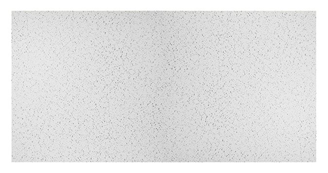 Genesis Easy Installation Printed Pro Lay-In White Ceiling Tile / Ceiling Panel, Carton of 10 (2' x 4' Tile)