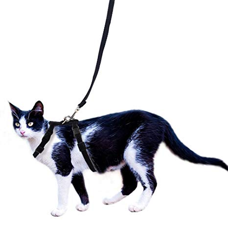 OFPUPPY Adjustable Cat Harness and Leash Set Velvet and Nylon Lead for Kitty Kitten Walking