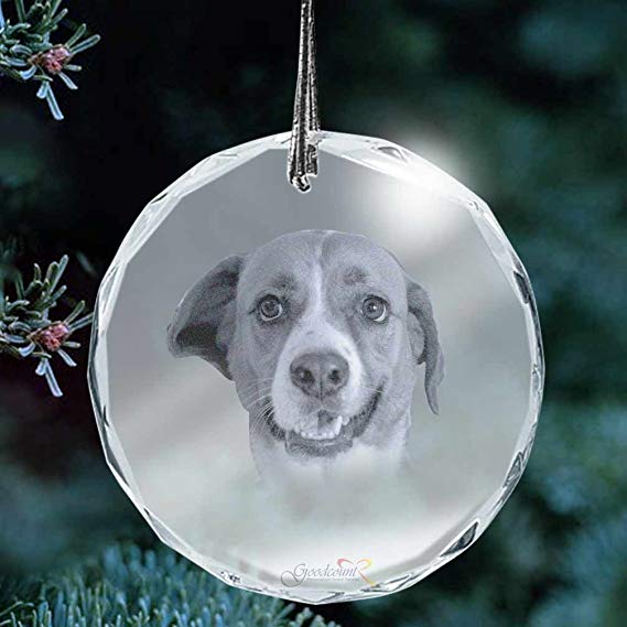 Goodcount.com Custom Etching Photo Crystal, Laser Engrave Picture in Glass Ornament (XL - 3")