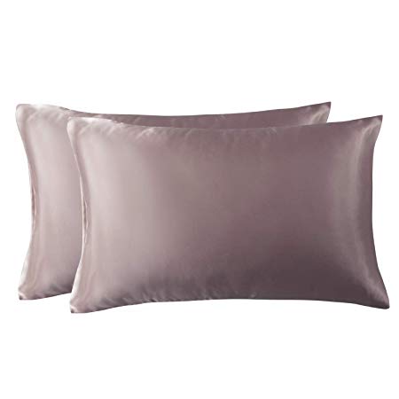 Bedsure Satin Pillowcase for Hair and Skin, 2-Pack - Queen Size (20x30 inches) Pillow Cases - Satin Pillow Covers with Envelope Closure, Sphinx
