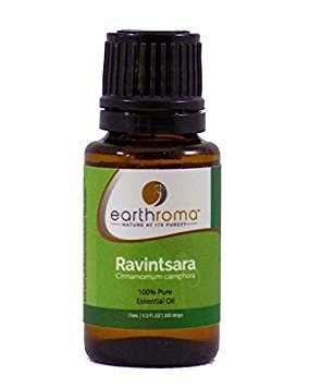 Ravintsara Oil 15ml. (1/2 OZ.) 100% Pure Essential Oil, Aromatherapy, Topical, Therapeutic Grade.