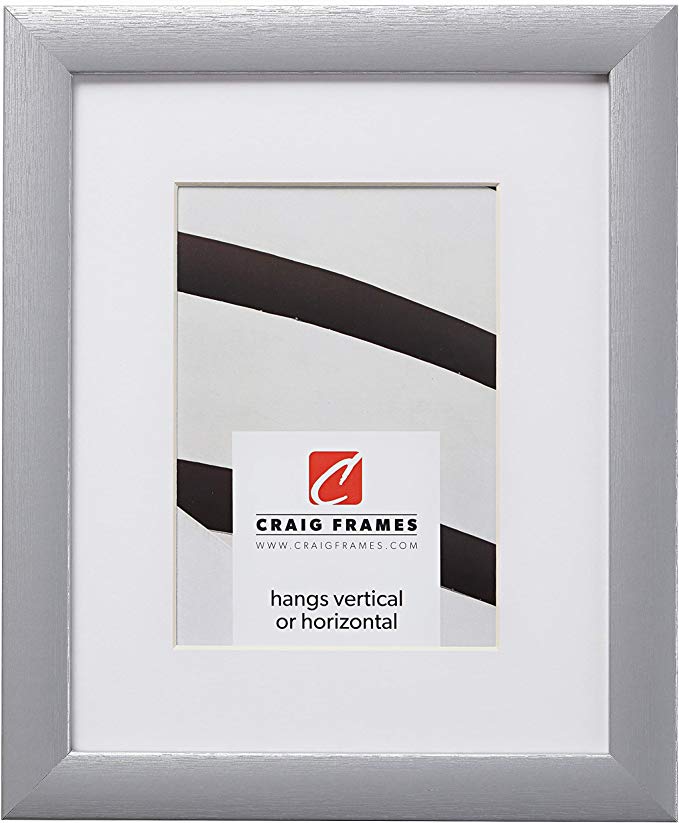 Craig Frames 23247018 20 x 24 Inch Brushed Silver Picture Frame Matted to Display a 16 x 20 Inch Photo