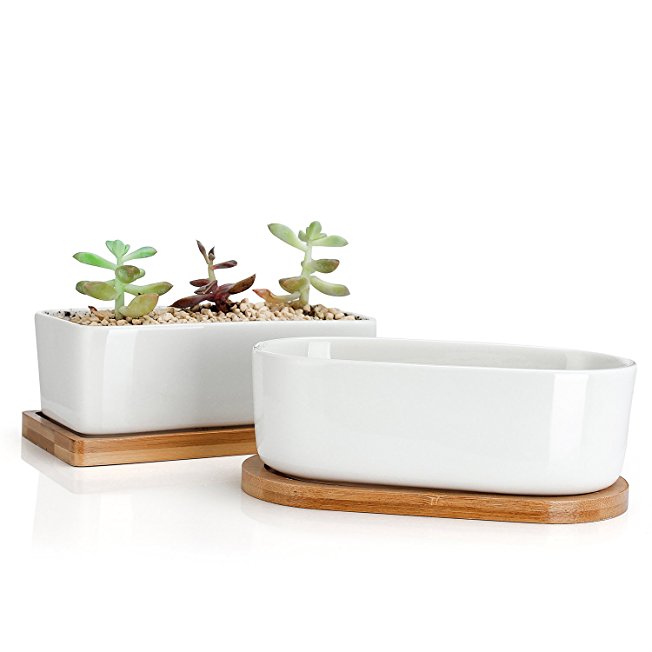 Greenaholics Succulent Plant Pots - 6 Inch Rectangular Ceramic Planters, Small Cactus Container, Bonsai Pots, Flower Pots with Drainage Hole, Bamboo Tray, Set of 2, White