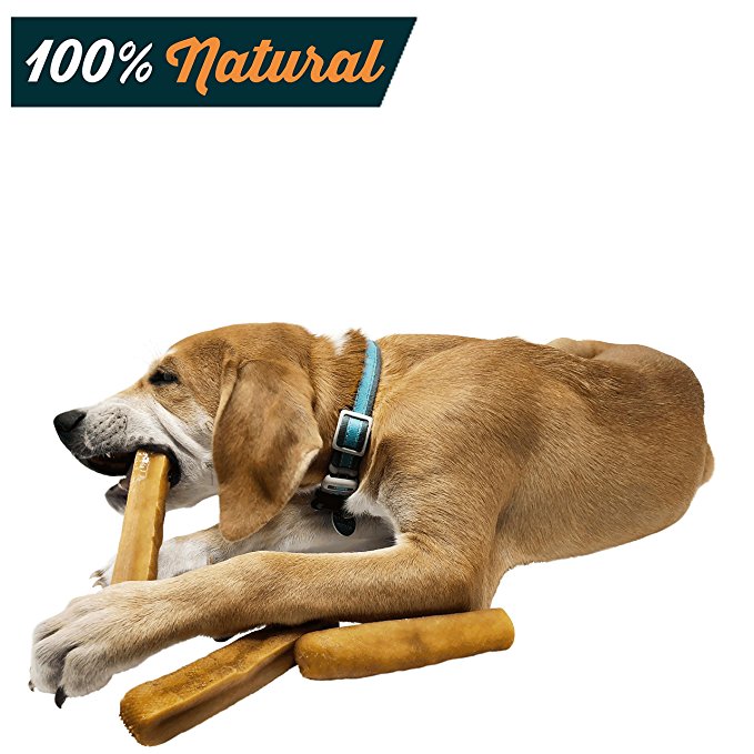 Wild Kitchen Premium Yak Chews: 100% Natural Dog Chews from Pure Yak Milk| Lactose, Gluten & Rawhide Free Puppy Chews| Healthy Odorless & Easily Digestible Dog Treats for Sensitive Stomach|3 Sizes