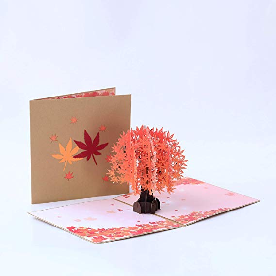 Paper Spiritz Pop up Card, 3D Card, Birthday Card, Pop up Christmas Card, Anniversary Card, Thanksgiving Greeting Card, Nature Card, Sympathy Card