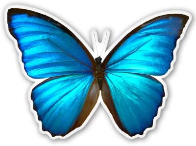 AK Wall Art Blue Morpho Butterfly Beautiful Vinyl Sticker - Car Phone Helmet - Select Size