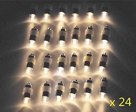 24x Warm White Non-blinking LED Mini Party Lights for Balloons Paper Lanterns Floral Party Decoration, Waterproof and Submersible
