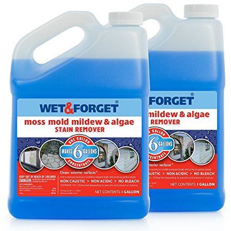 Wet and Forget 800003 Wet And Forget Moss Mold Mildew & Algae Stain Remover (1 Gallon-Pack of 2)