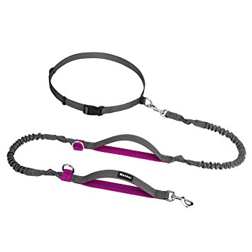 Hands Free Dog Leash with Dual Bungees Dual Handles Waist belt for Running Jogging Walking for Medium Large Dog up to 150 lbs Dogs