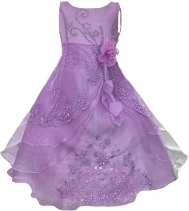 Little/Big Girls Embroidered Beaded Flower Girl Birthday Party Dress with Petticoat