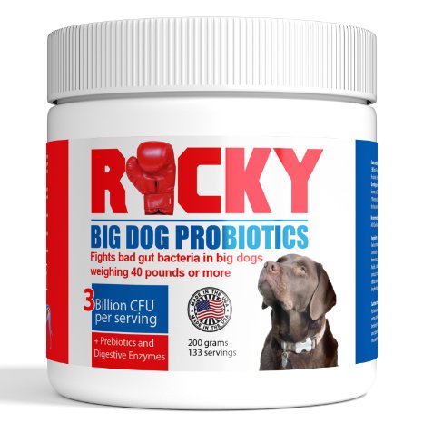 Rocky - Probiotics for Dogs, Prebiotics and Digestive Enzymes for Diarrhea, Gas and Stomach Relief. Complete Nutritional Supplement, Fights Bad Gut Bacteria - 200 grams.