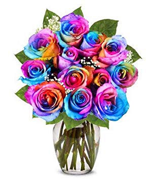 Flowers - Two Dozen Wild Rainbow Roses