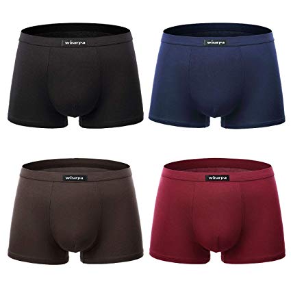 wirarpa Men's 4 Pack Micro Modal Underwear Ultra Soft Microfiber Trunks Covered Waistband Short Leg S-3XL