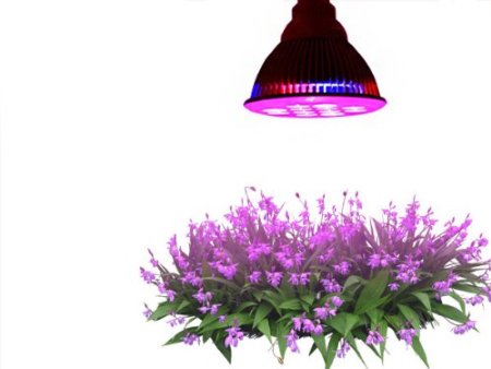 Highest Efficient Hydroponic LED Grow Light TaoTronics E27 Plant Grow Lights 12w 3 Bands
