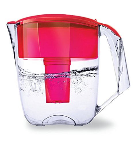 Premium Water Pitcher Filter by Ecosoft – 8 Cup - With 1 Filter, Efficient BPA-free Purification System, Portable and Sleek Kitchen Filtration Jug, Promotes Healthy Drinking, Red
