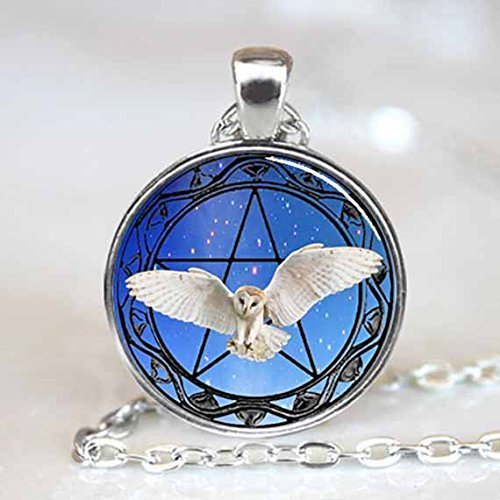 Owl Pendant, Owl Necklace, Owl Jewelry, Owl and Pentagram Pendant, Owl and Pentagram Necklace, Wiccan Pendant, Wiccan Necklace, (PD0524S)