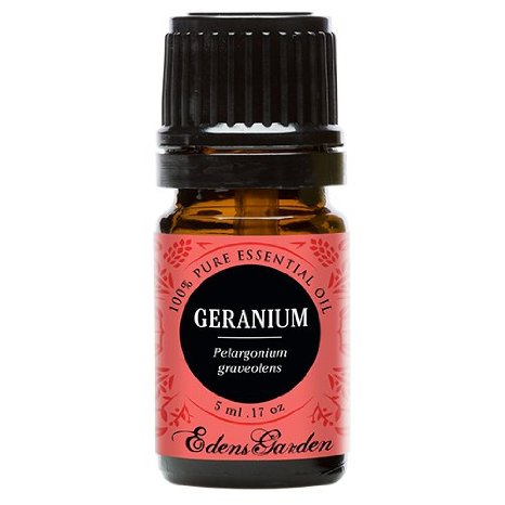 Geranium (Bourbon) 100% Pure Therapeutic Grade Essential Oil by Edens Garden- 5 ml