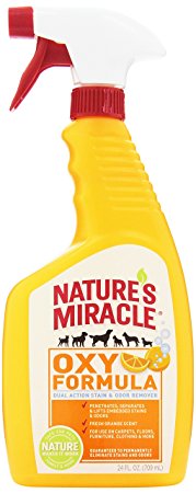 Nature's Miracle Stain & Odor Remover, Orange Oxy, Trigger Spray