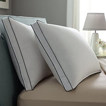 Pacific Coast Double DownAround Medium 2 Pack Pillow 300 Thread Count 550 Fill Power Down & Resilia Feathers - Standard