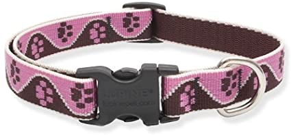 LupinePet Originals 3/4" Tickled Pink Adjustable Dog Collar for Small, Medium and Large Dogs