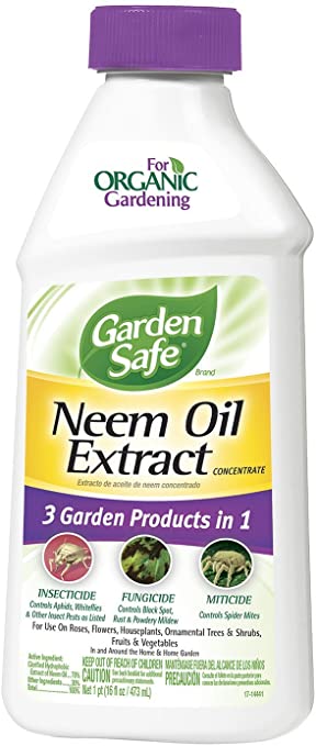 Garden Safe HG-83179 Neem Oil Extract Concentrate 16 fl oz, Pack of 6