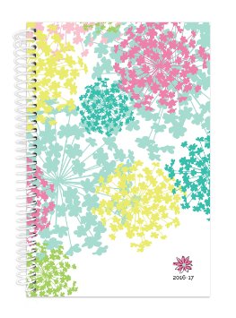 Bloom Daily Planners 2016-17 Academic Year Daily Planner Passion Goal Organizer Fashion Agenda Weekly Diary Monthly Datebook Calendar August 2016 - July 2017  6" x 8.25" - Bloom Flowers