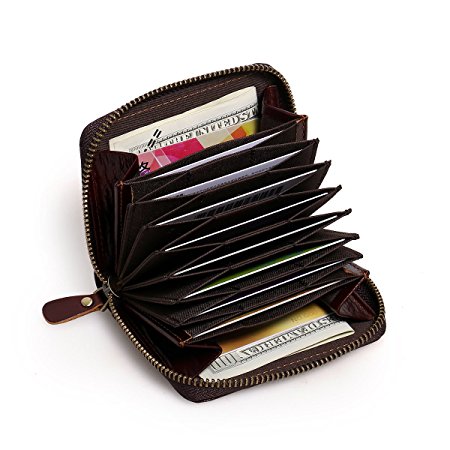 APHISON RFID Accordion Style Leather Credit Card Holder Wallet Zipper Around Block Security Travel Wallets/Gift Box (BROWN)