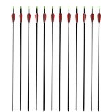 Outdoors Carbon 30-Inch Arrows with Field Points Replaceable Tips 12 Pack