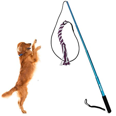Sanzang Outdoor Interactive Dog Toys Extendable Flirt Pole Funny Chasing Tail Teaser and Exerciser for Pets (L, Blue)
