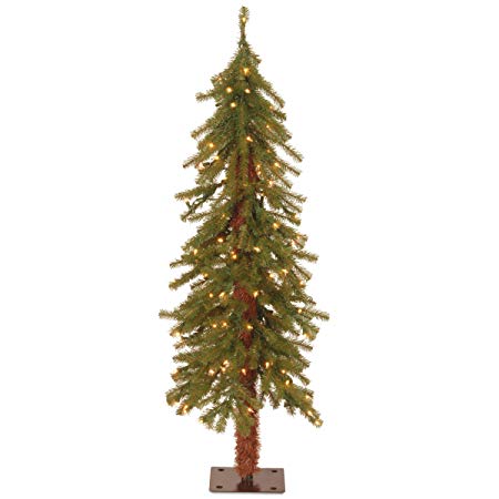 National Tree 4 Foot Hickory Cedar Tree with 100 Clear Lights (CED7-40LO-S)