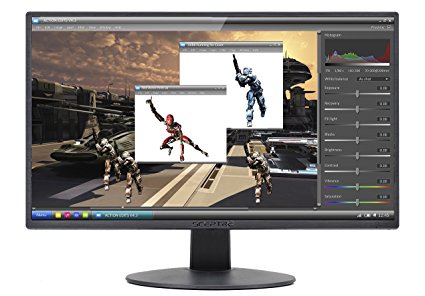 Sceptre E205W-1600 20" 75Hz Ultra Thin LED Monitor HDMI VGA Build-in Speakers, Metallic Black (2018 Version) (24")