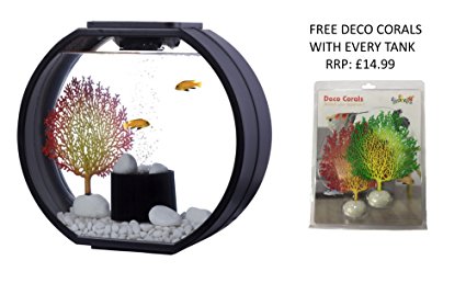 Fish R Fun Deco Fish Tank, 20 Litre, Black