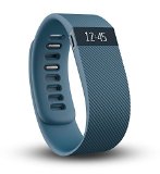 Fitbit Charge Wireless Activity Wristband Slate Large