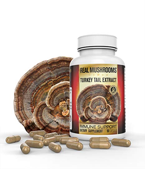 Organic Turkey Tail Mushroom Extract Capsules by Real Mushrooms - Immune Booster - 90 Capsule Supplement