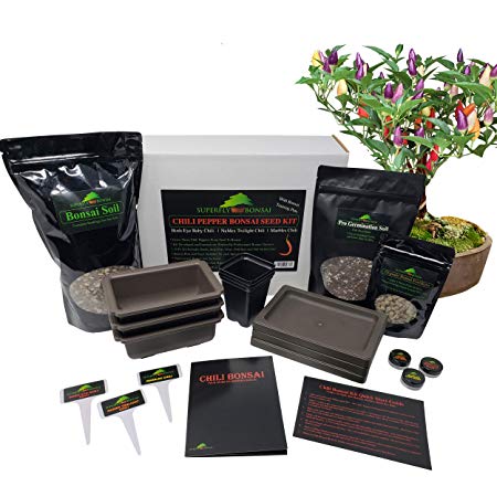 New Chili Bonsai Premium Bonsai Tree Starter Seed Kit - Bonchi Hot Peppers (Chili Bonsai Kit Level 2)