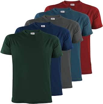 ALPIDEX Herren T-Shirts 5er Set Rundhals einfarbig S M L XL XXL 3XL 4XL 5XL