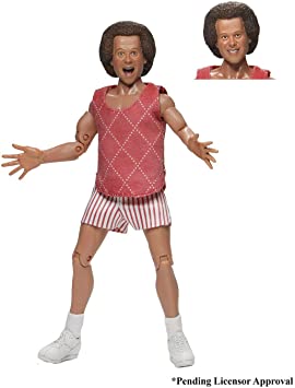 Richard Simmons Clothed Action Figure
