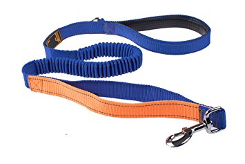 LaiFug Bungee Dog leash